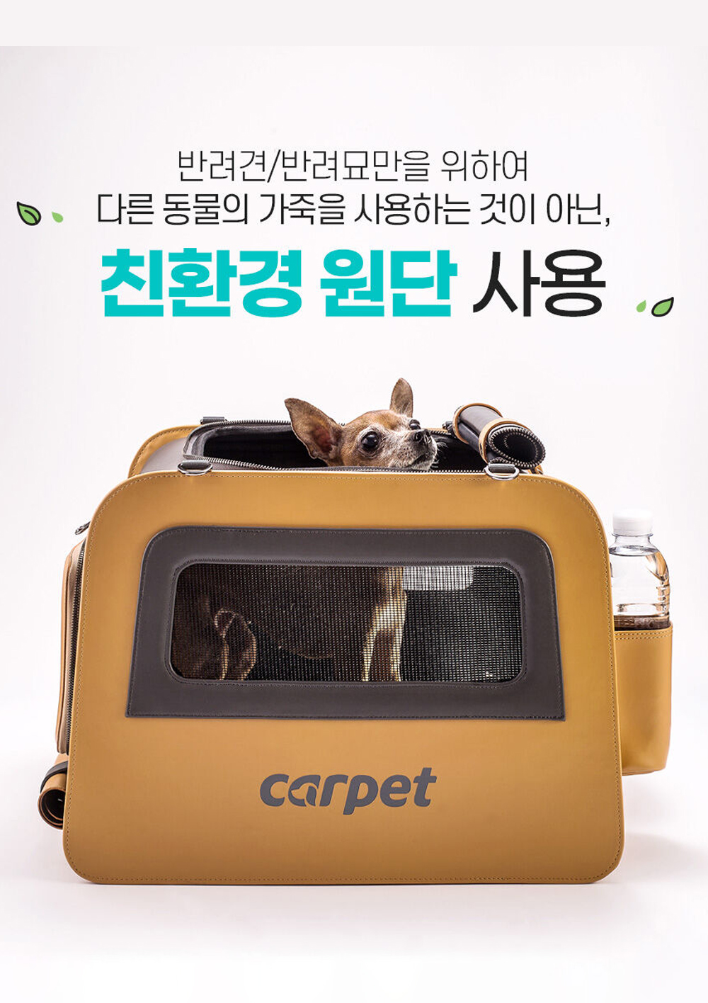 프로펫러_카펫라이드